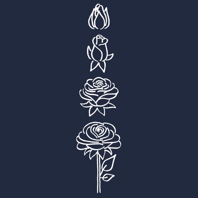 éclosion d'une fleur blanche