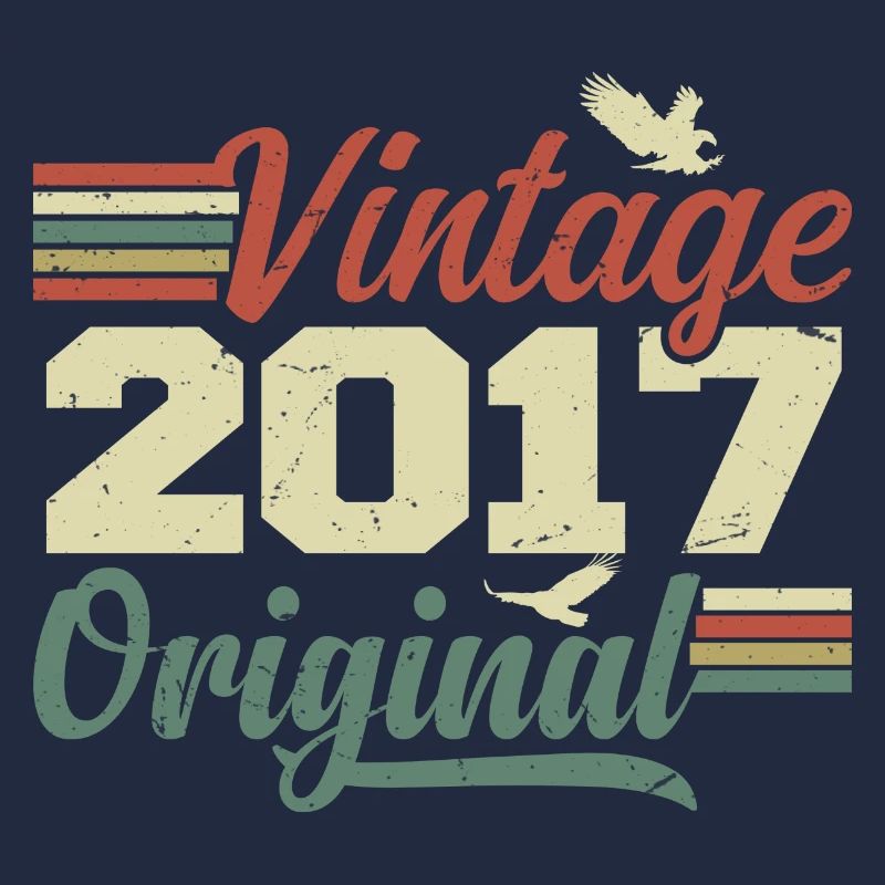 Vintage 2017 Retro Anniversary Gift