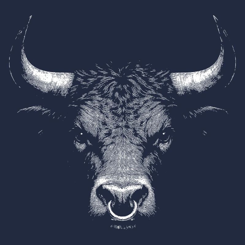 Taureau