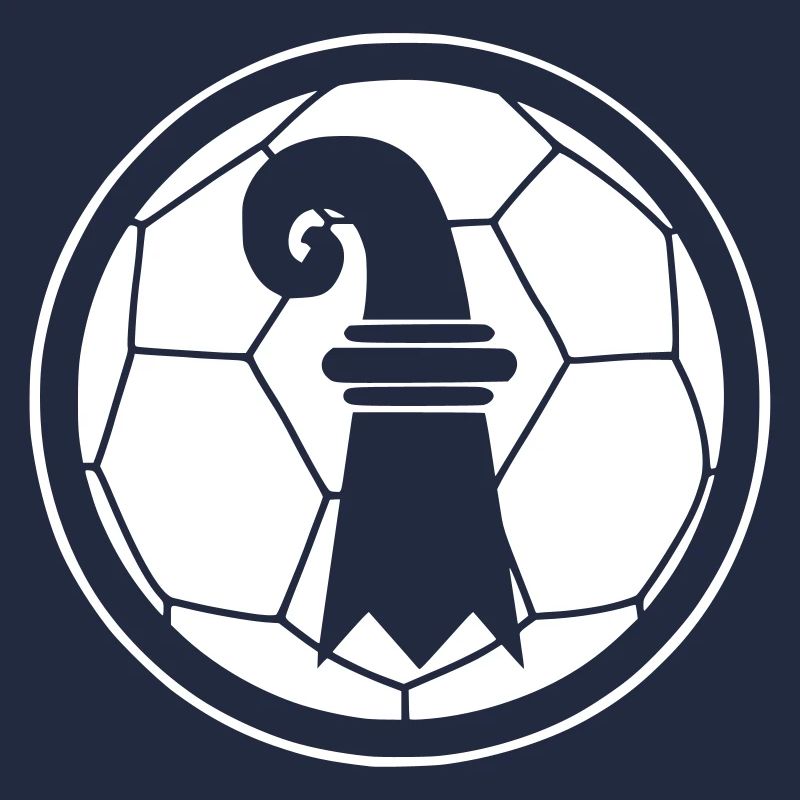 Fussball Basel
