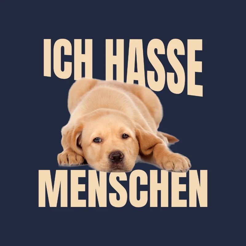 Labrador Meme