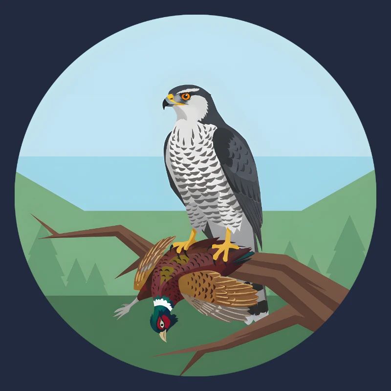 Goshawk with pheasant