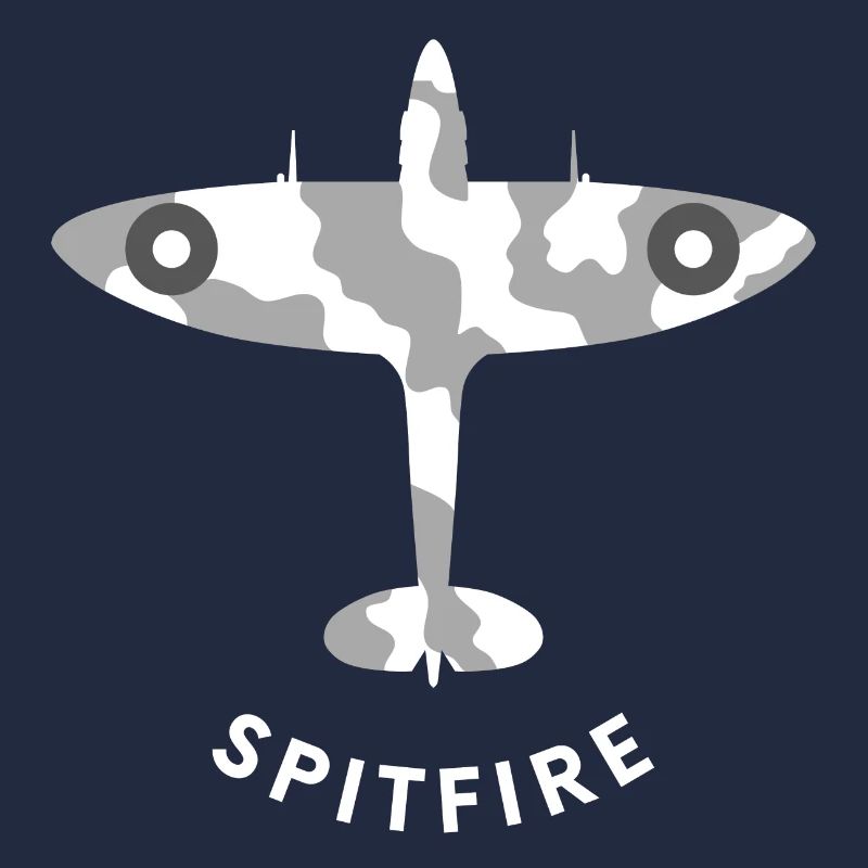 Spitfire fighter plane