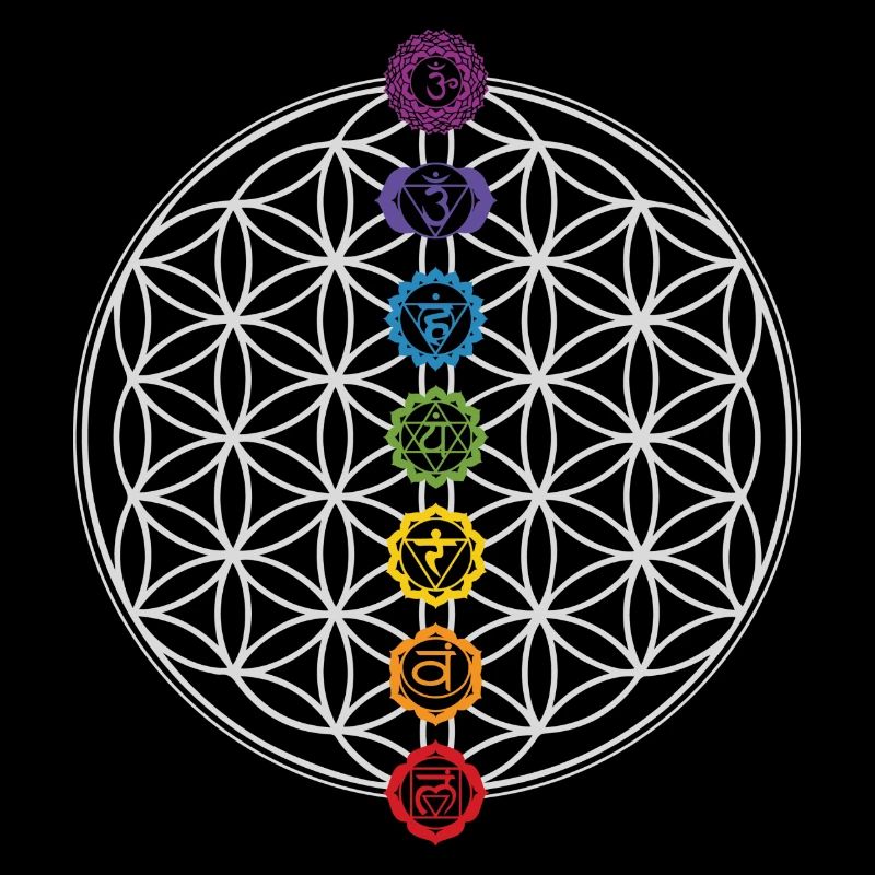 Fleur de Vie & Chakras