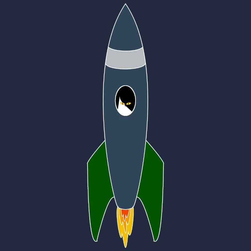 Chat dans l’espace