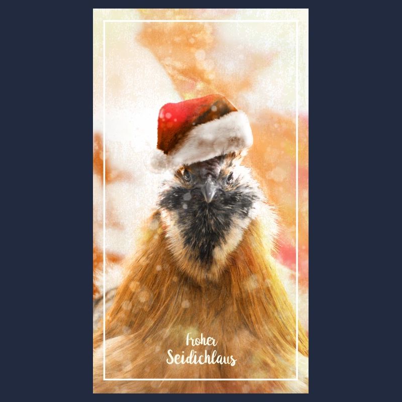 Der Seidichlaus