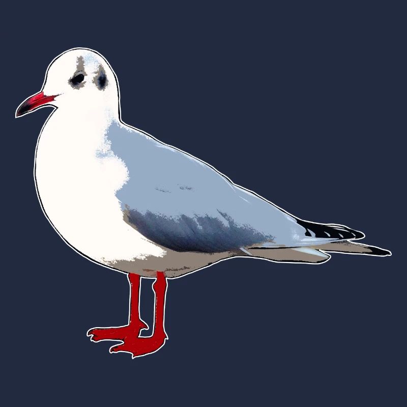 Möwe