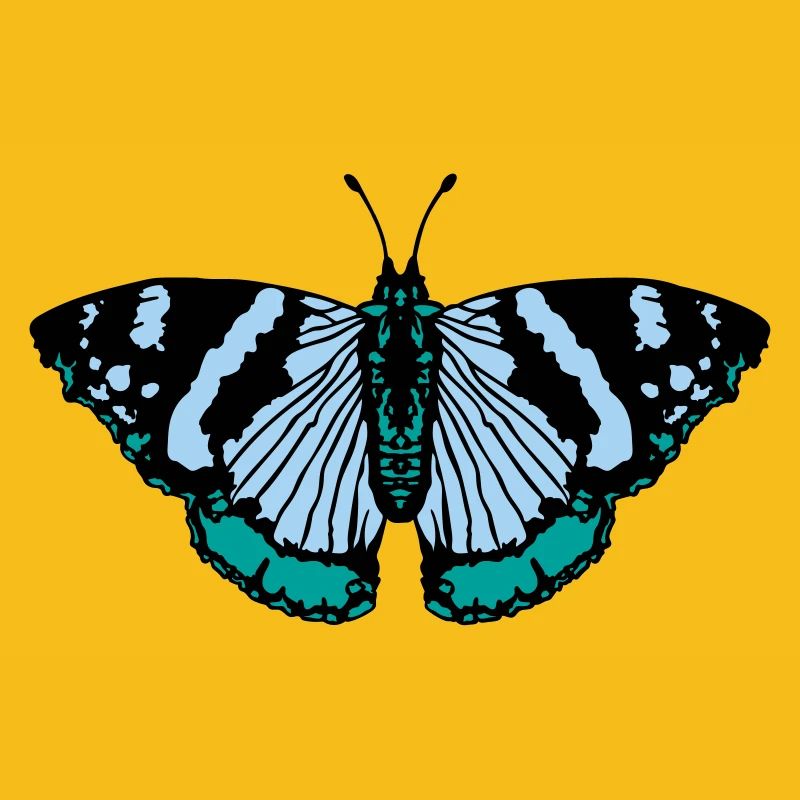 Papillon papillon