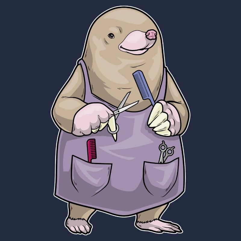 Peigne et ciseaux de coiffeur Mole