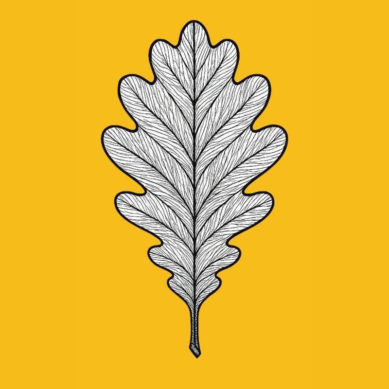 Monochrome oak leaf design