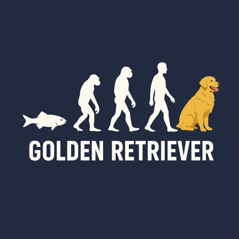 Evolution du Golden Retriever