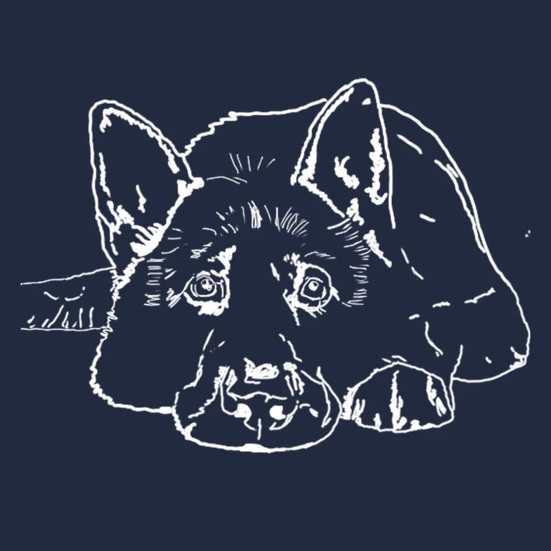 Chien de berger