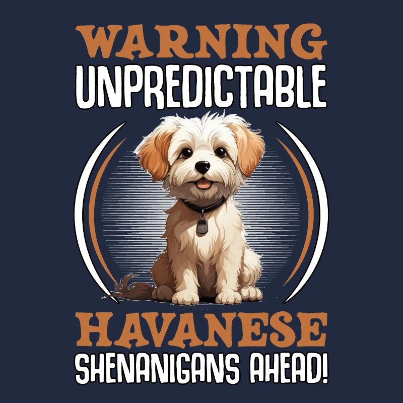 Warning unpredictable Havanese Shenanigans ahead