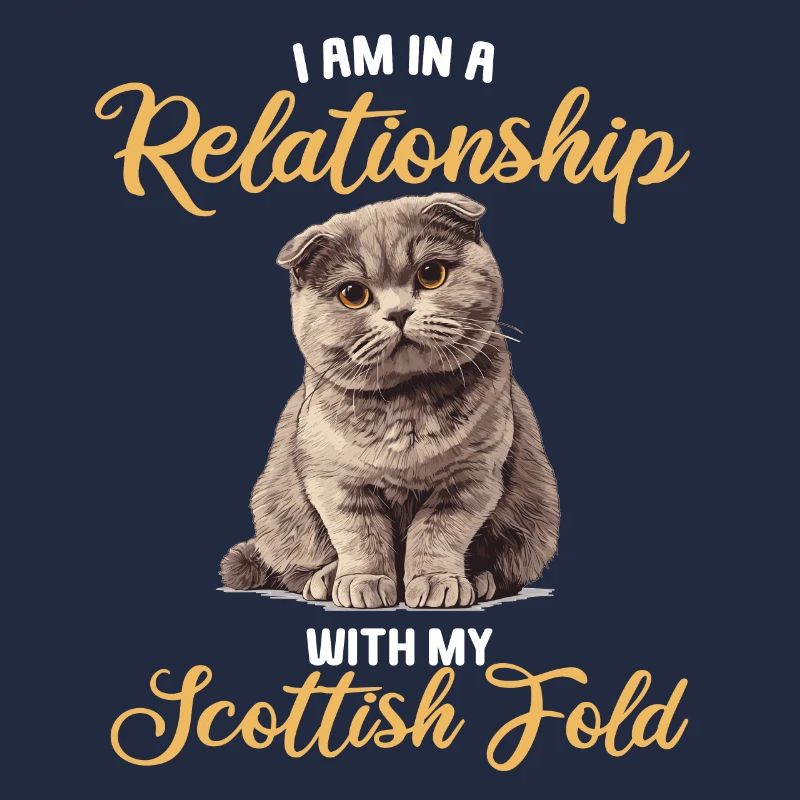 Scottish Fold Kitten Scottish Fold Cat
