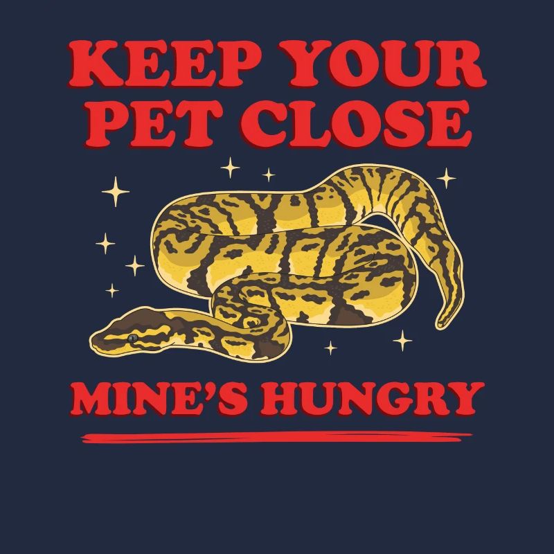 Königspython Schlange Python Geschenk