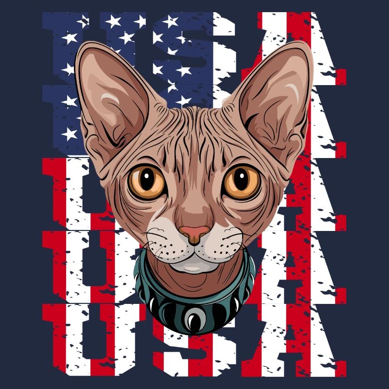 USA Chat Sphynx devant le drapeau
