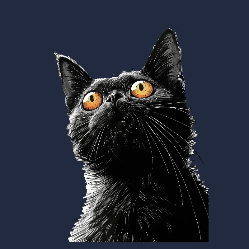 Chat noir Peter