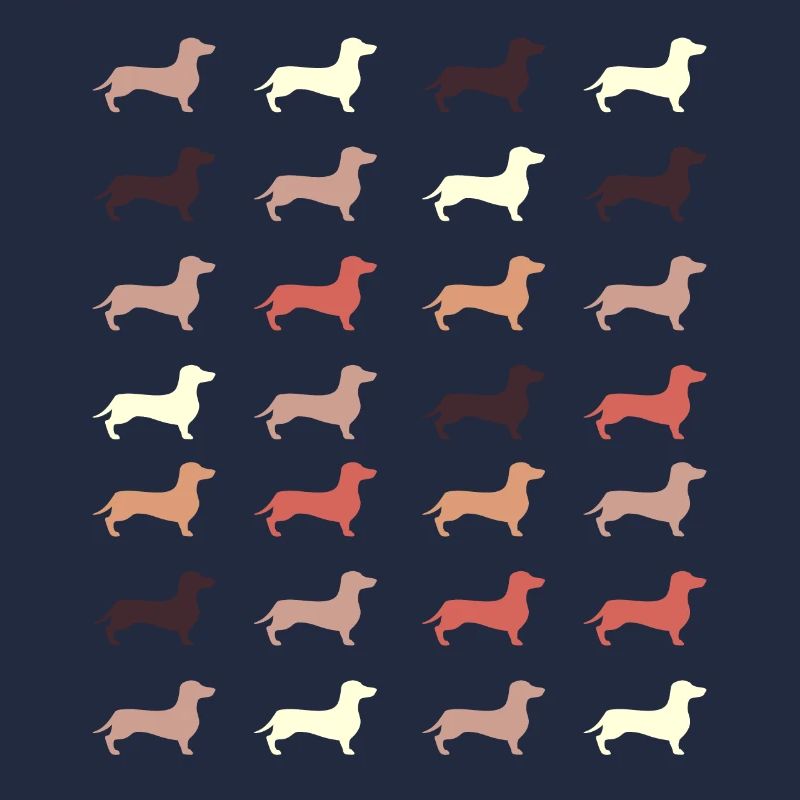 dachshund