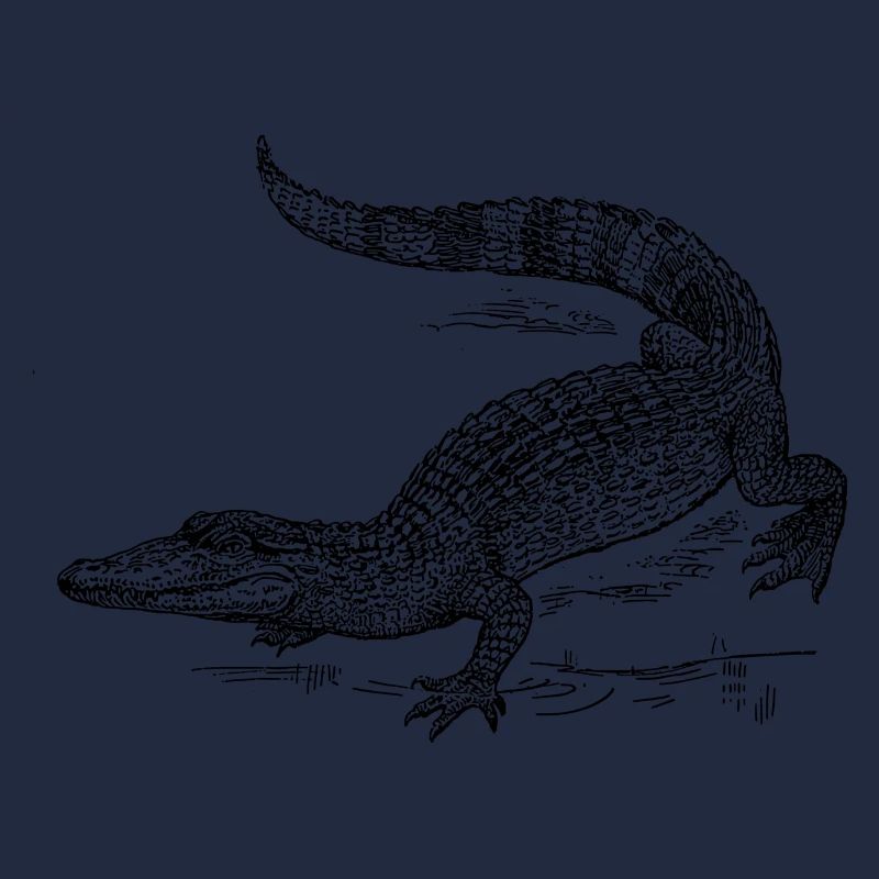 Croco 58