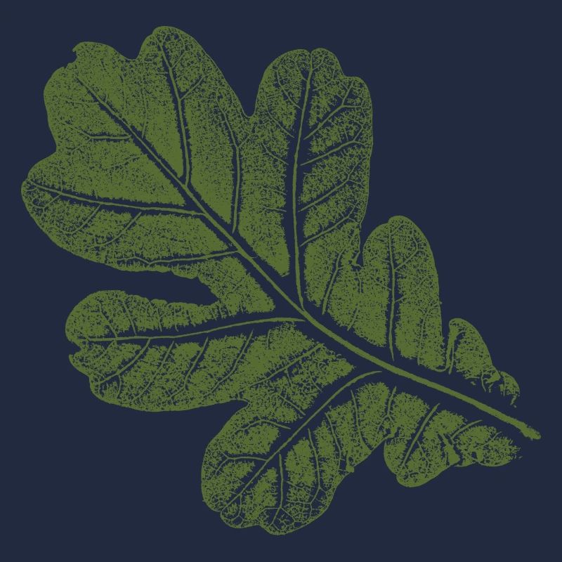 Eichenblatt - Blatt/ Eiche Khaki
