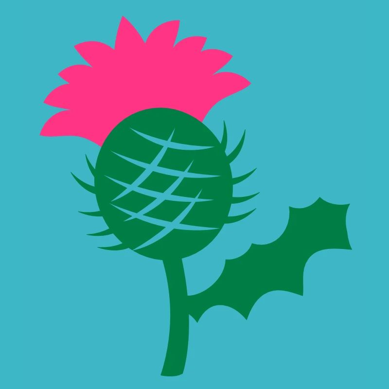 seule fleur de tête de chardon écossais Ecosse