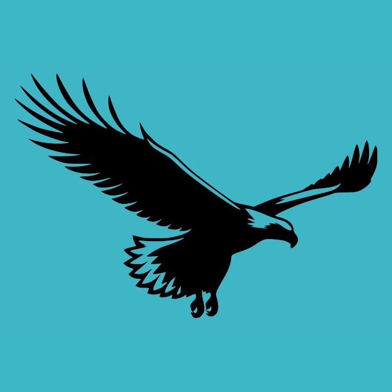 Aigle planeur élégant sur ailes larges