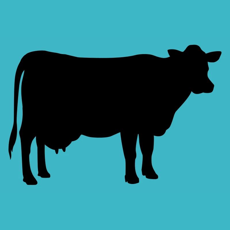 Vache