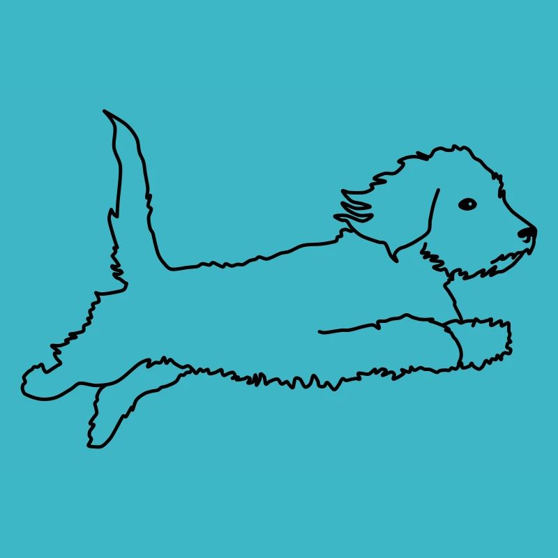 Wire-haired dachshund flying
