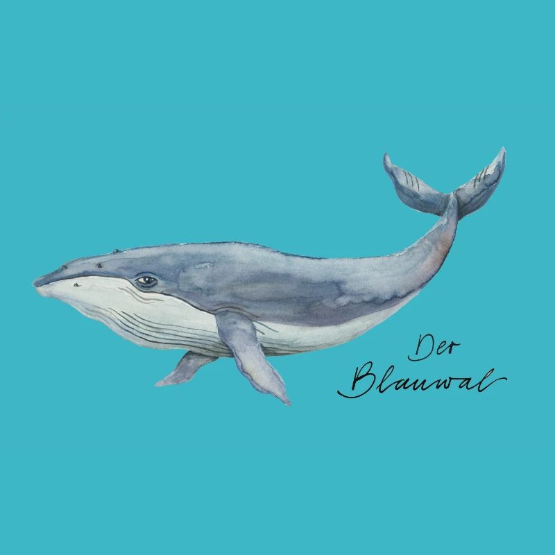 Le rorqual bleu