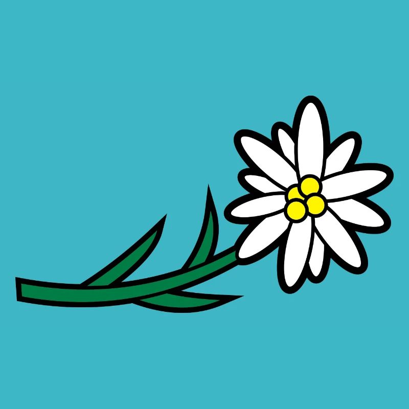 Blumen und Kräuter: Edelweiss