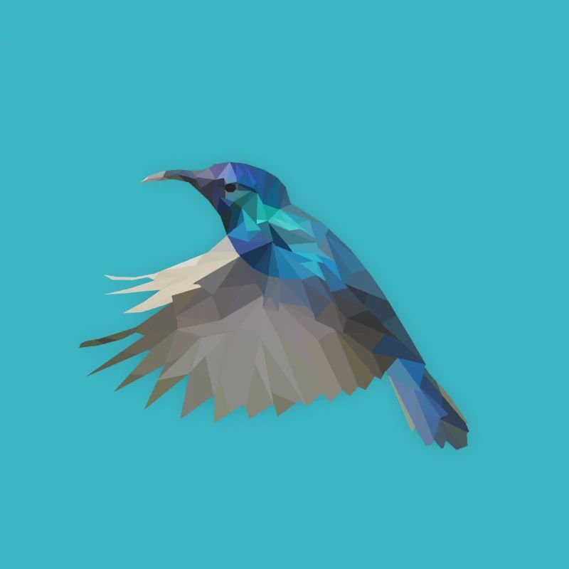 Low Poly Kolibri