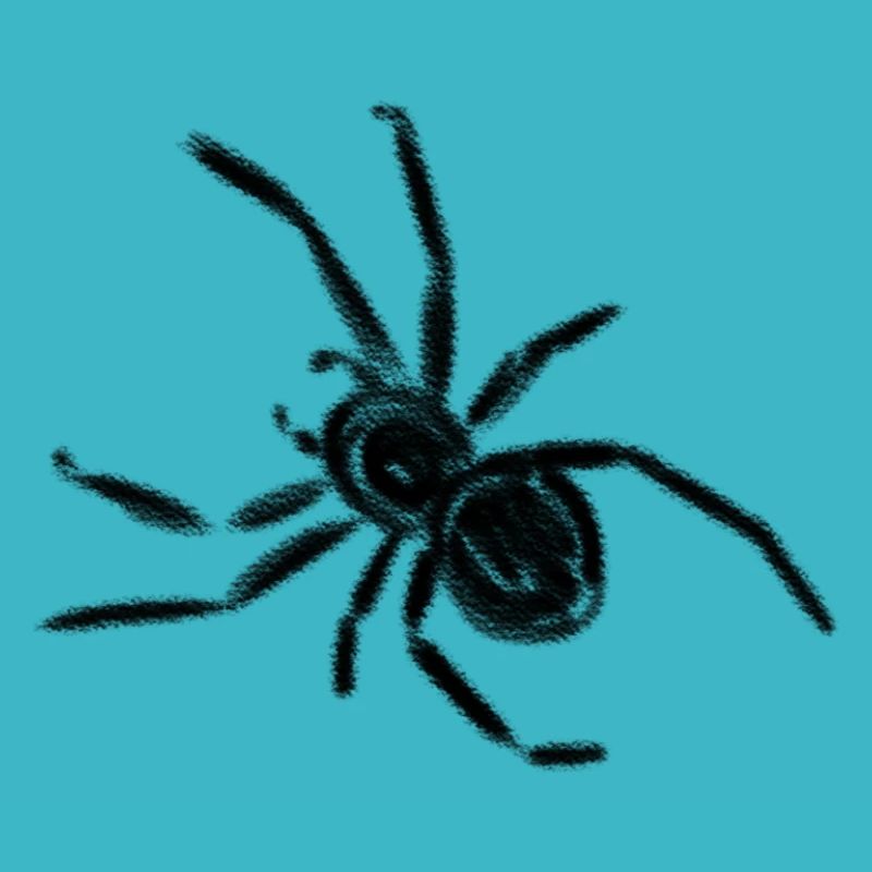 Spinne