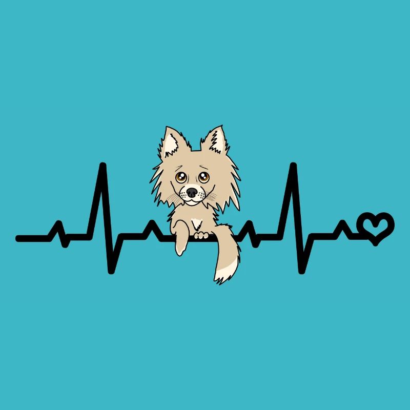 Chihuahua Herzfrequenz - beiger langhaar Chi Hund