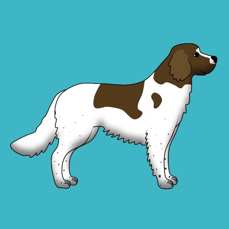 kleiner Münsterländer