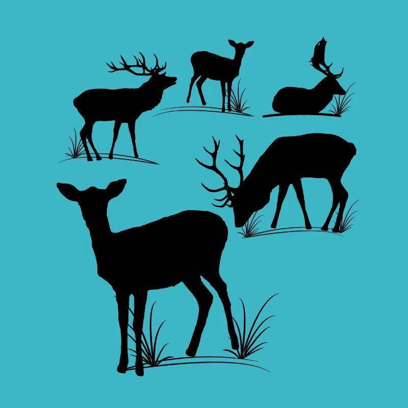 Deer, roe deer, fallow deer, fallow deer, roebuck