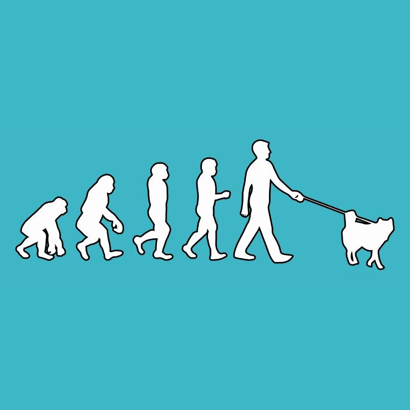 Husky Evolution
