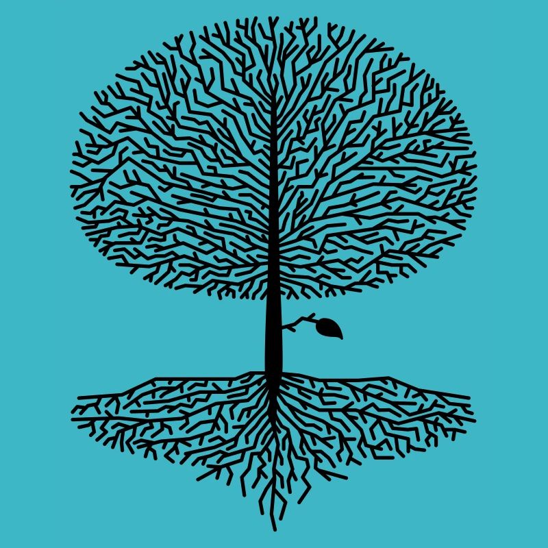 Laubbaum Krone Wald Eiche Buche Natur Linde Äste