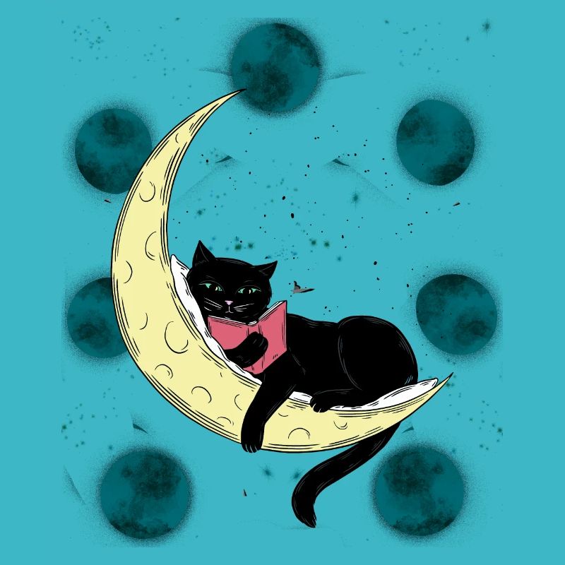 Cat Moon Cats Kitten Moon Phase Book