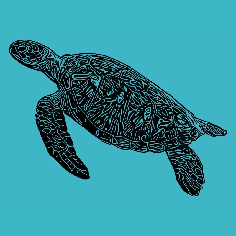 Vintage diving turtle