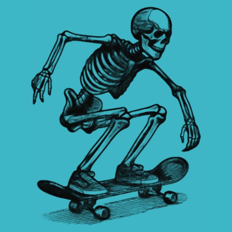 Skeleton skateboard, Skelett