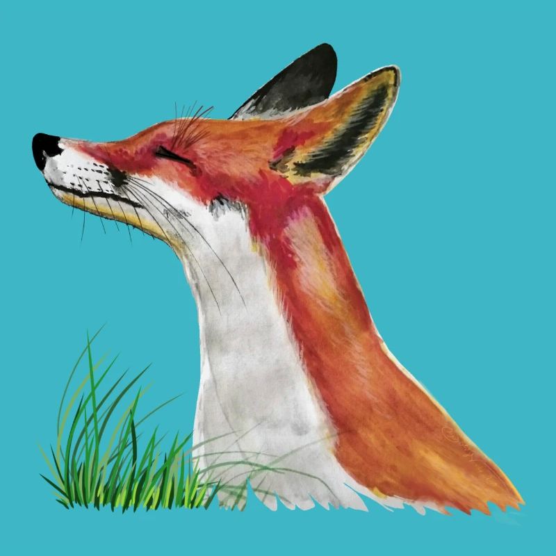 Le petit renard