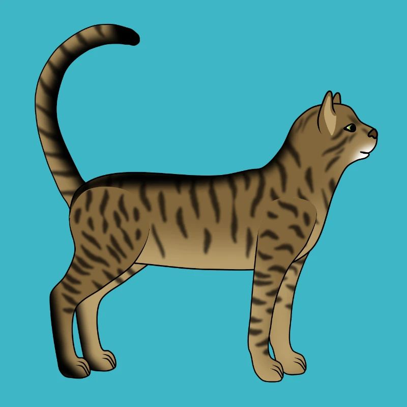 Getigerte Katze steht