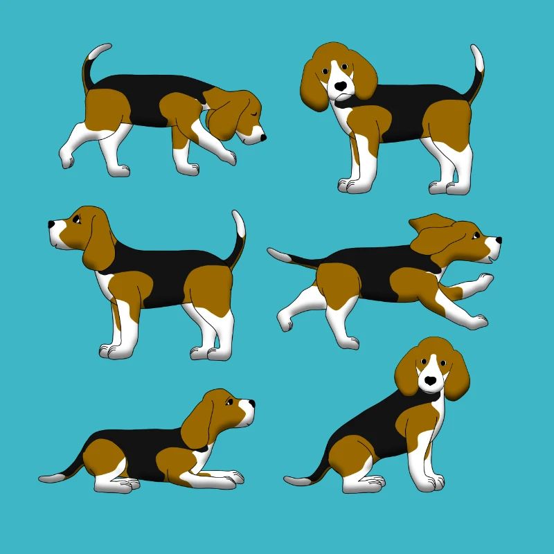 Beagle selection