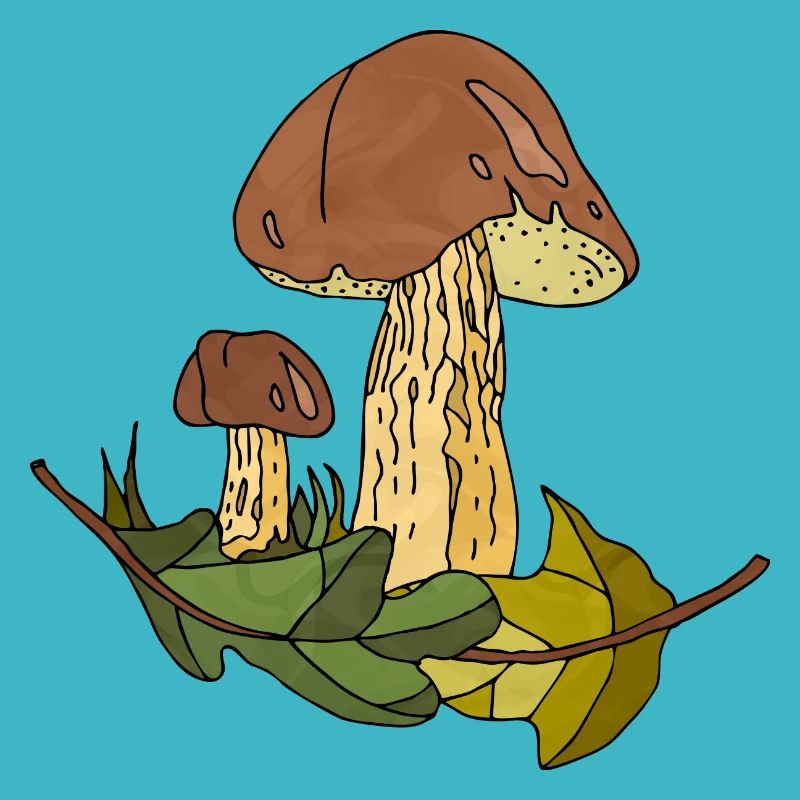 Mycètes