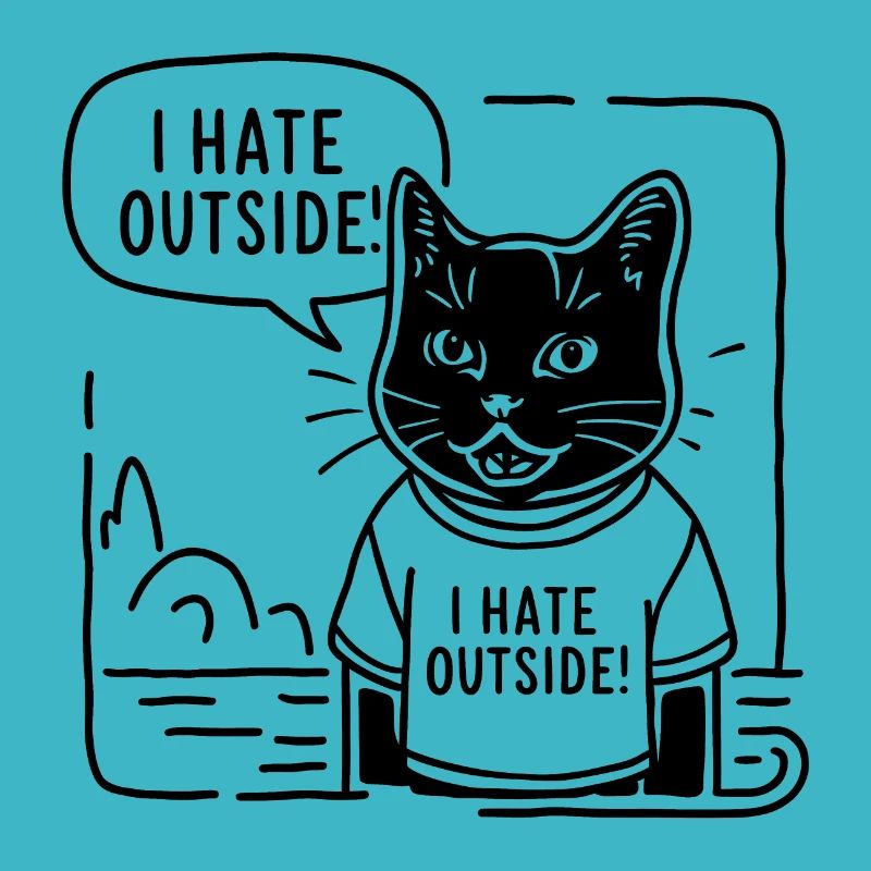 Funny cat I hate outside
