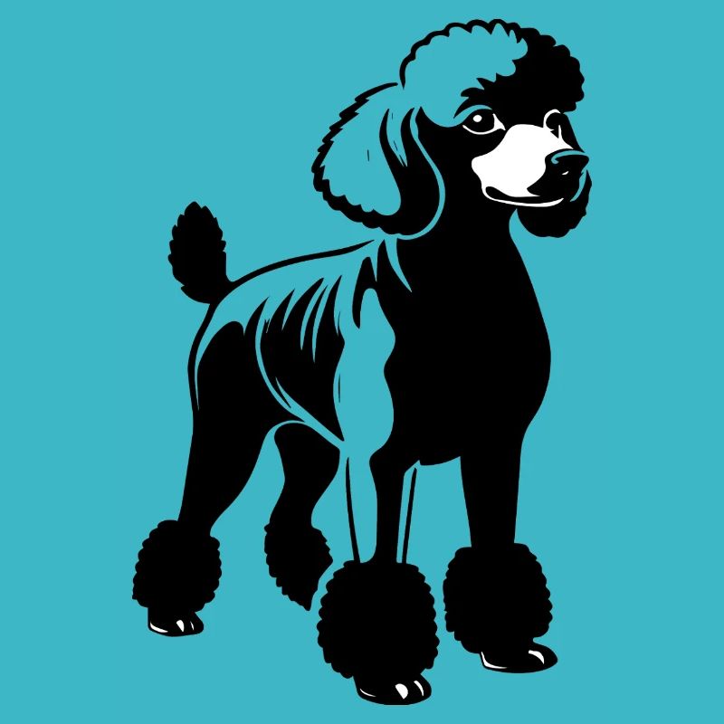 Caniche - Conception de chien de compagnie