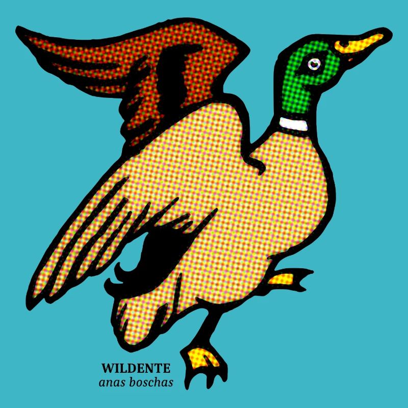 Wild duck Anas Boschas wild duck illustration
