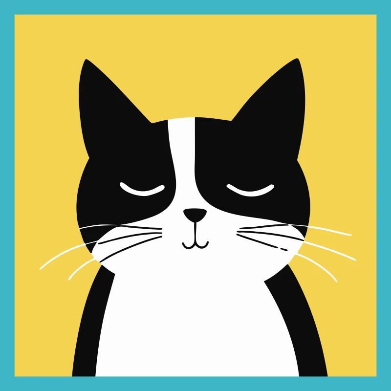 Chat noir et blanc minimaliste