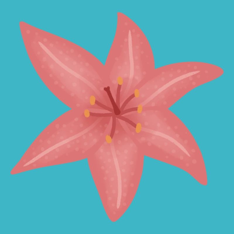Pink Lily Bloom Illustration