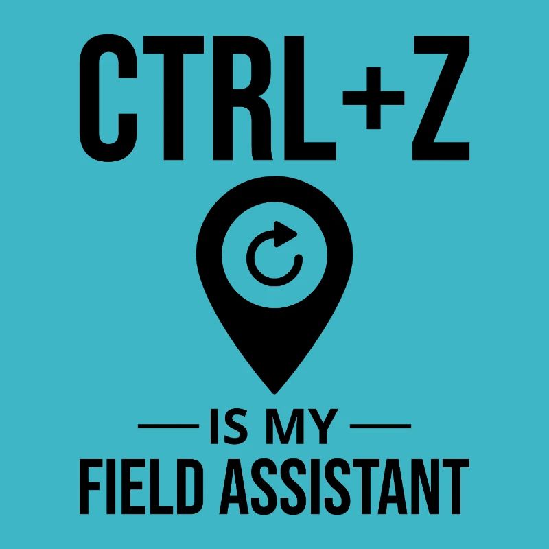 CTRL+Z Field Assistant Modification des données SIG Annuler